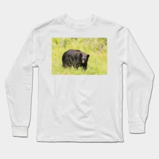 Black Bear in a pasture Long Sleeve T-Shirt